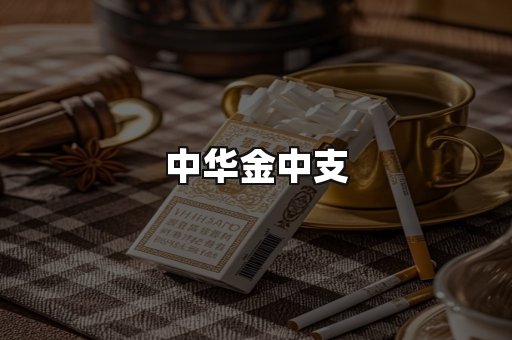 中华金中支